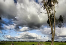 R.I.P，弗鲁米嫩塞体能教练阿兰特斯因癌症去世，年仅38岁，阿兰-福斯特