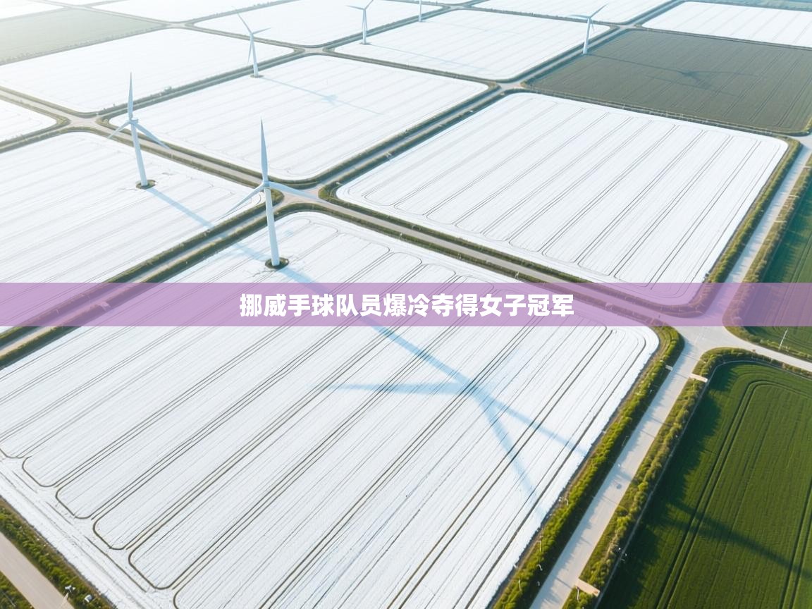 挪威手球队员爆冷夺得女子冠军  第2张